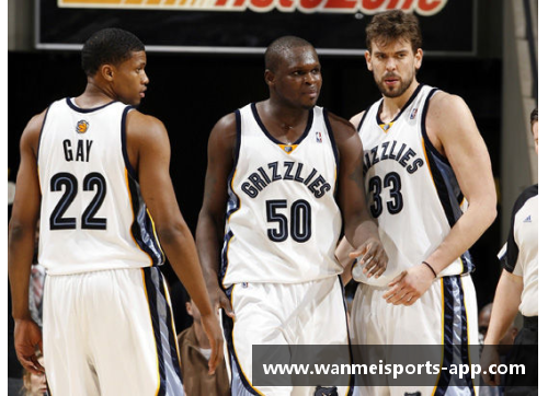 灰熊队球员风采：深度剖析明星球员及其表现