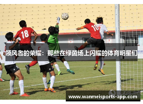 领风者的荣耀：那些在绿茵场上闪耀的体育明星们